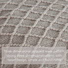 Acrylic Knitted Throw Blanket, Lightweight and Soft Cozy Decorative Woven Blanket with Tassels for Travel, Couch, Bed, Sofa, 51X67 Inches, Taupe Checkered