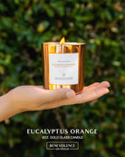 Eucalyptus Orange Wood Wick Candles | Fathers Day Gift for Dad | Soy Scented Candles | Gifts for Men | Aromatherapy | Shelf Decor, Bathroom Freshener | 8Oz, 45 Hour Burn