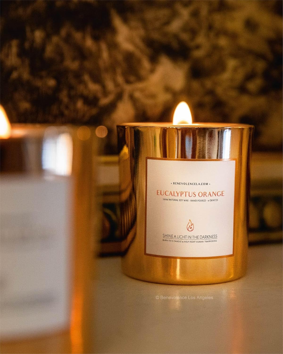 Eucalyptus Orange Wood Wick Candles | Fathers Day Gift for Dad | Soy Scented Candles | Gifts for Men | Aromatherapy | Shelf Decor, Bathroom Freshener | 8Oz, 45 Hour Burn
