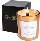 Eucalyptus Orange Wood Wick Candles | Fathers Day Gift for Dad | Soy Scented Candles | Gifts for Men | Aromatherapy | Shelf Decor, Bathroom Freshener | 8Oz, 45 Hour Burn