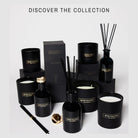 Reed Diffusers for Home, Lavender & Eucalyptus Relaxing Fragrance | Aromatherapy Reed Diffuser Sticks with Gift Box, Scented Sticks for Bathroom | Home Decor